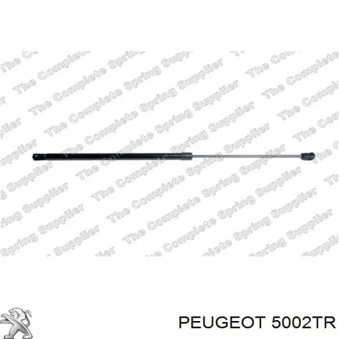 Пружина передня Peugeot/Citroen 5002TR ціна, від 28.13 USD