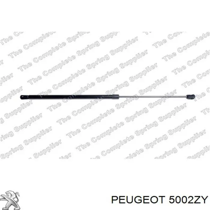 Пружина передня Peugeot/Citroen 5002ZY ціна, від 36.19 USD