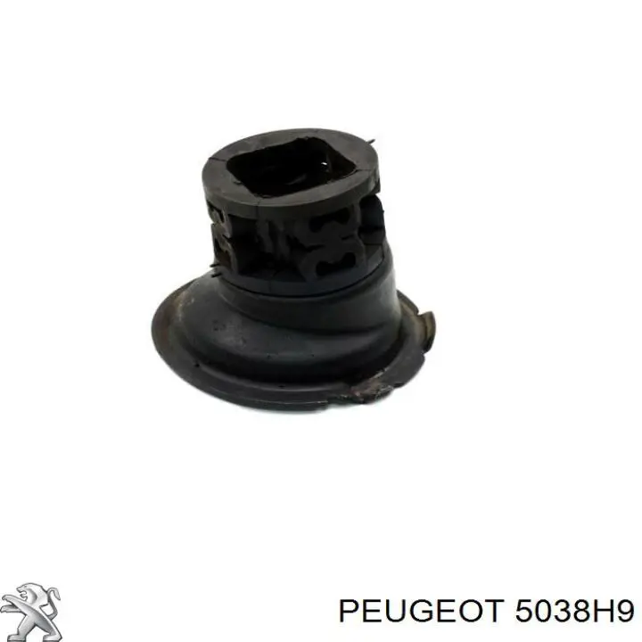  Peugeot/Citroen 5038H9