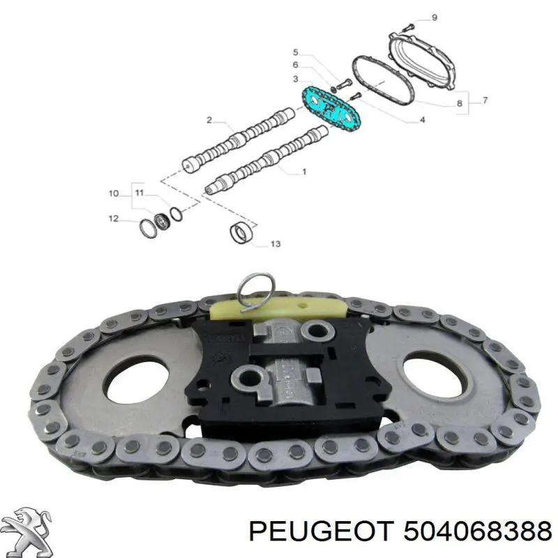 Ланцюг приводу распредвала на Fiat Ducato II 244