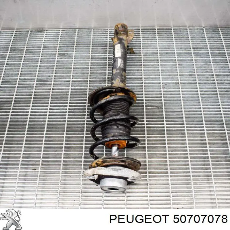 Купити 50707078 Peugeot/Citroen Амортизатор передньої підвіски