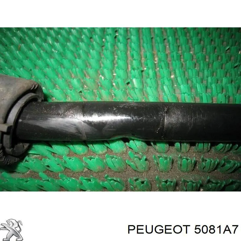 Купити 5081A7 Peugeot/Citroen Стабілізатор поперечної стійкості передній