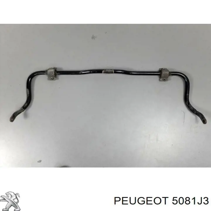 Стабілізатор передній стійкості Peugeot/Citroen 5081J3 ціна, від 20.09 USD