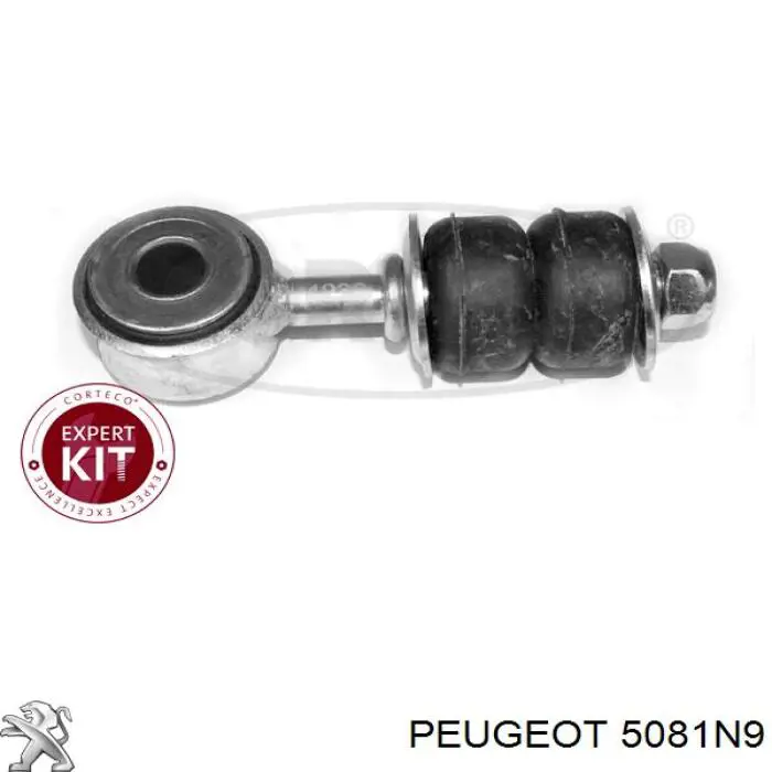 Передній стабілізатор 5081N9 Peugeot/Citroen
