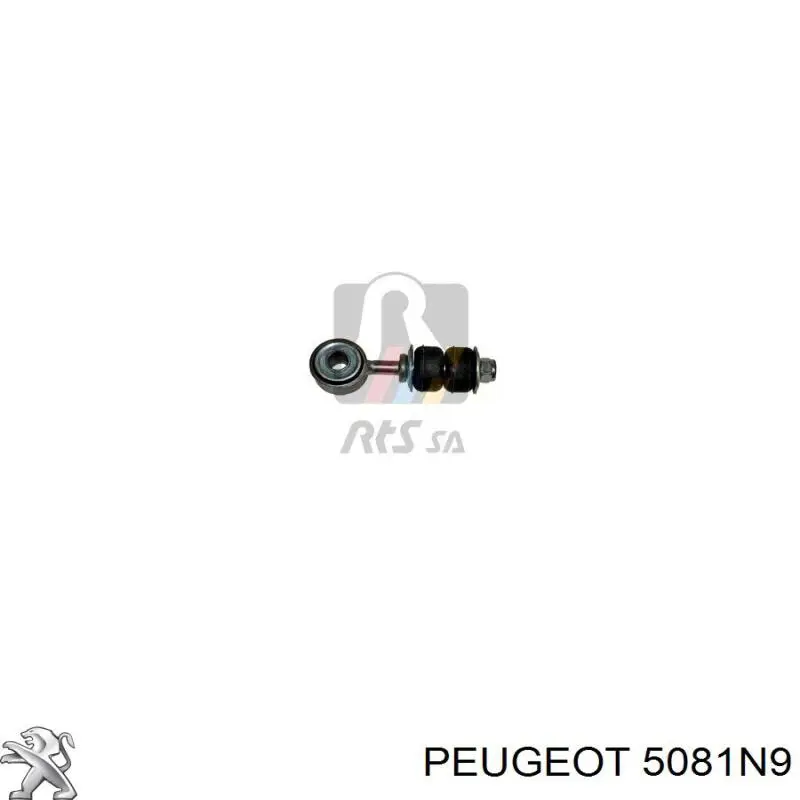 Стабілізатор передній Peugeot/Citroen 5081N9