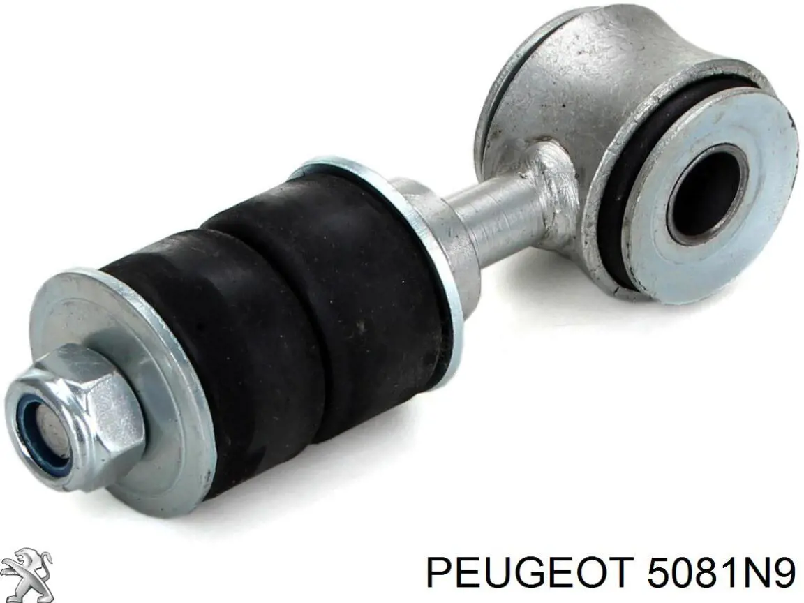 5081N9 Peugeot/Citroen Стабілізатор передньої підвіски