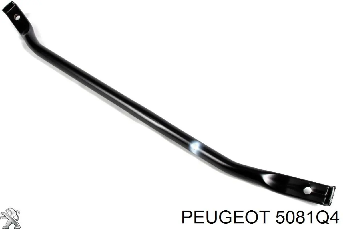 5081Q4 Peugeot/Citroen 