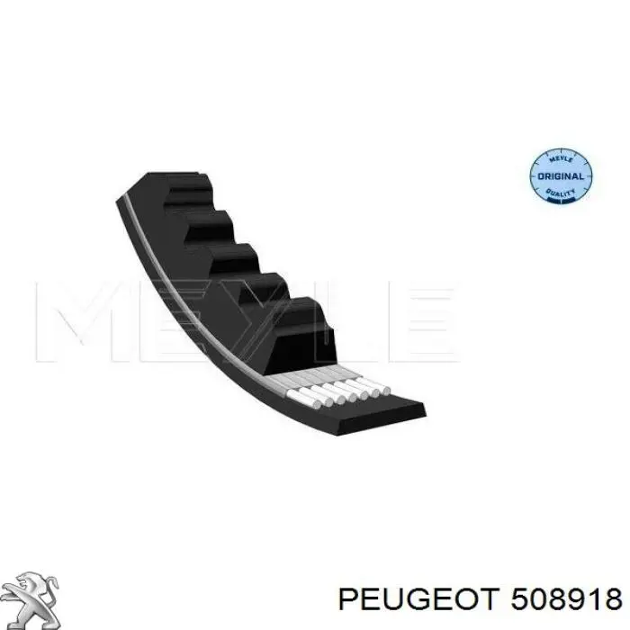 508918 Peugeot/Citroen гайка передньої стійки стабілізатора