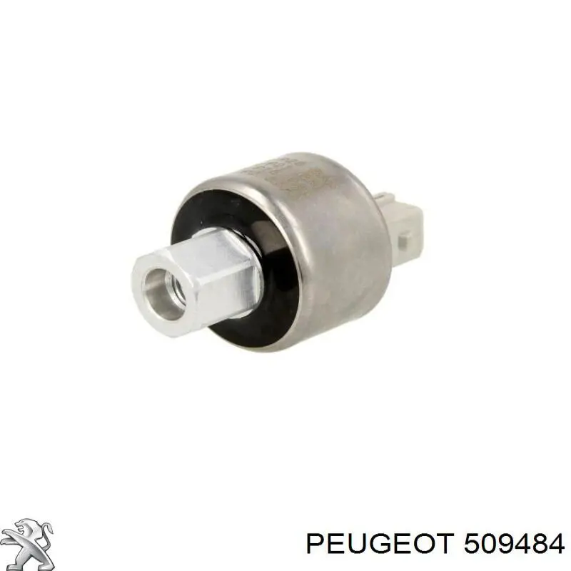 Купити 509484 Peugeot/Citroen Подушка стабілізатора передня