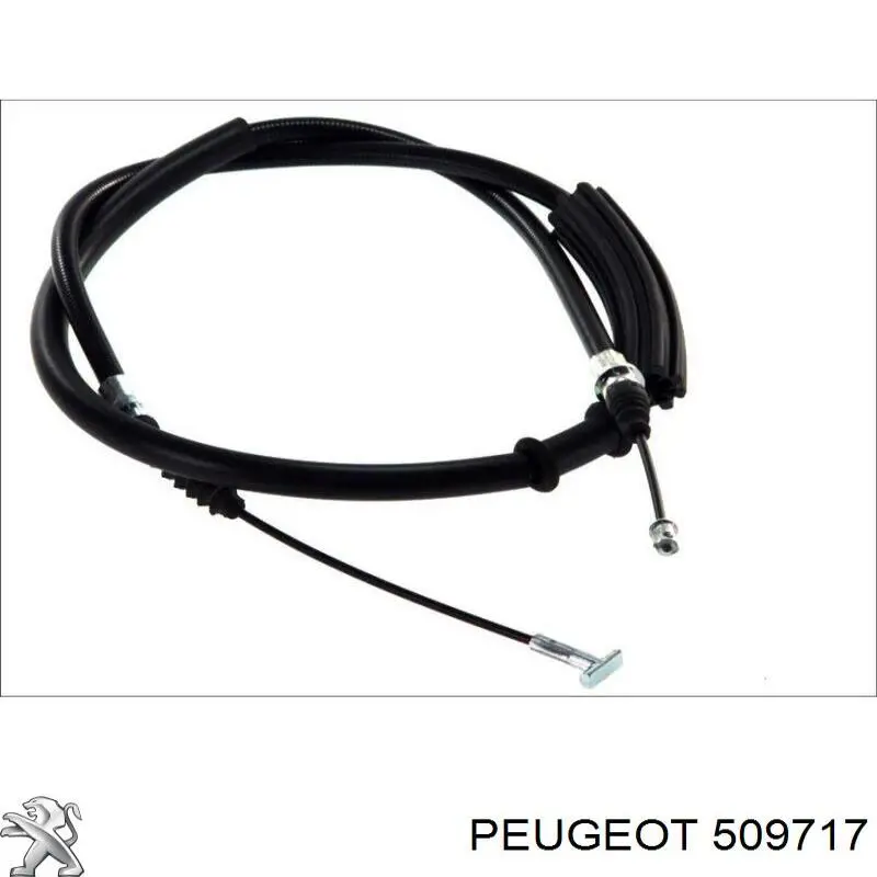 509717 Peugeot/Citroen 