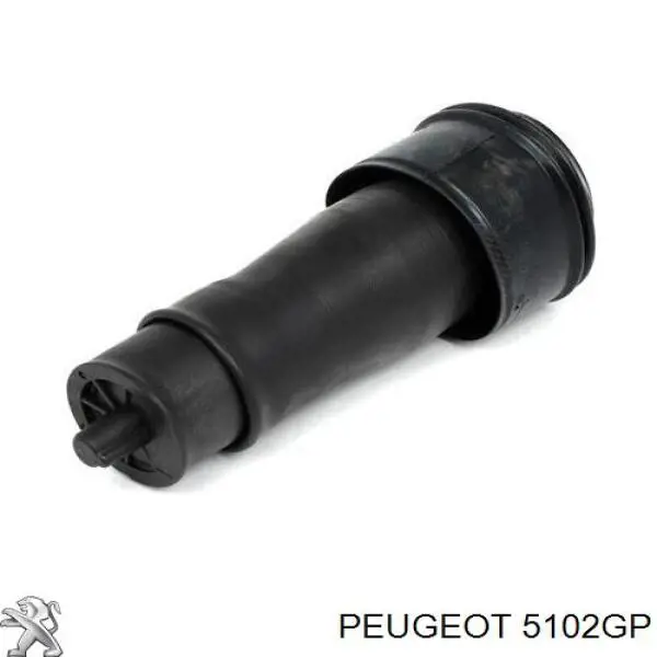 Пневморессора задня Peugeot/Citroen 5102GP ціна, від 163.34 USD