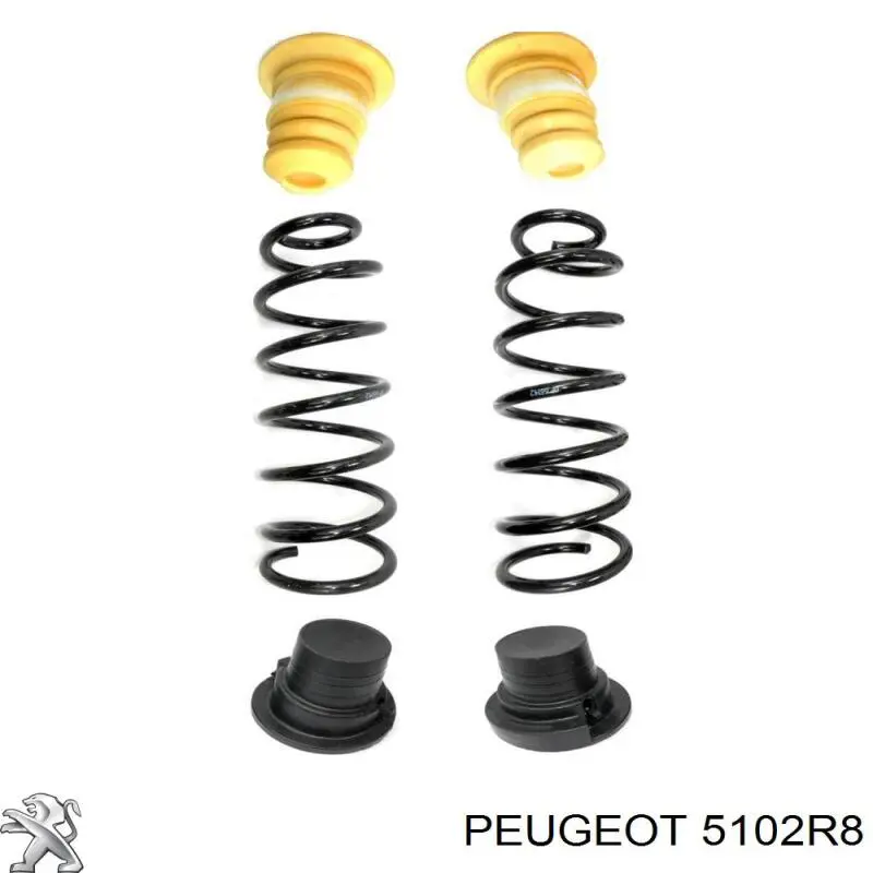 Пневморессора задня Peugeot/Citroen 5102R8 ціна, від 109.67 USD