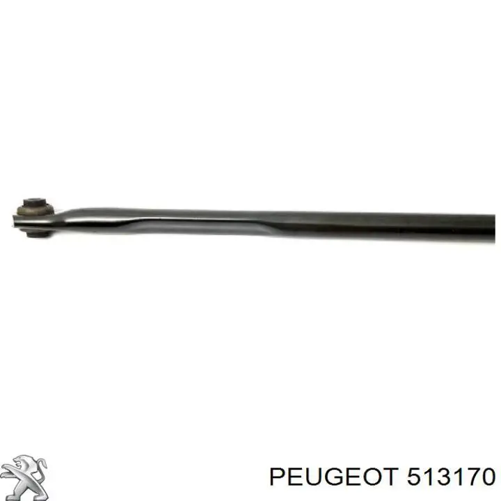 Подушка задньої балки 513170 Peugeot/Citroen