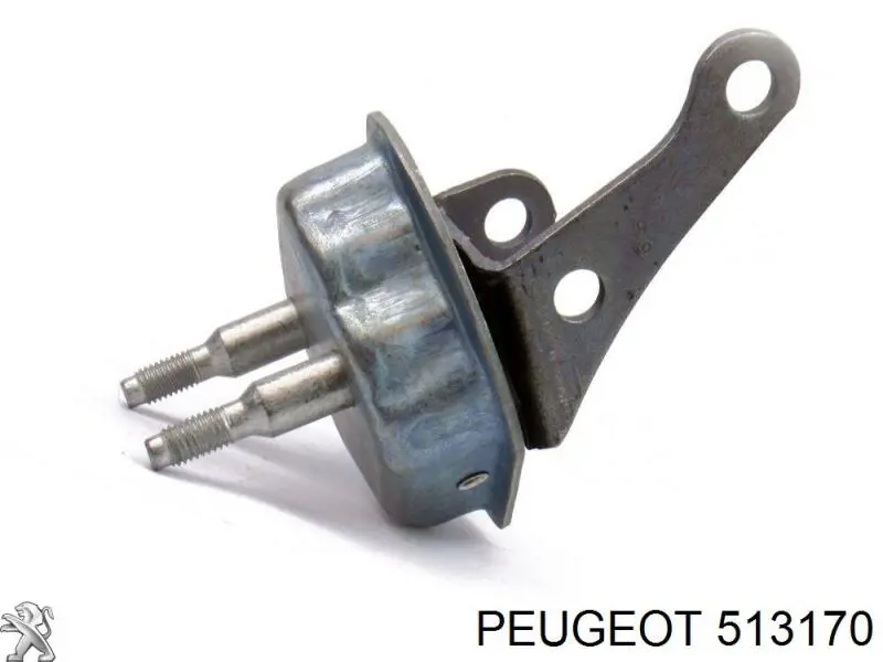 Подушка задньої балки Peugeot/Citroen 513170 ціна, від 20.64 USD