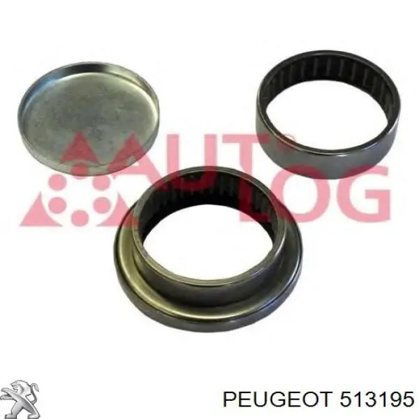 Купити 513195 Peugeot/Citroen Голчастий підшипник задньої балки