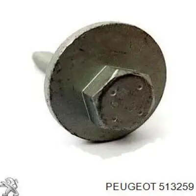 Купити 513259 Peugeot/Citroen Болт кріплення заднього розвального важеля, внутрішній