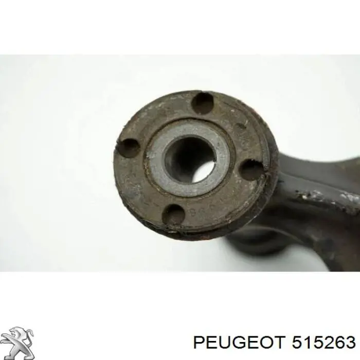 Купити 515263 Peugeot/Citroen 