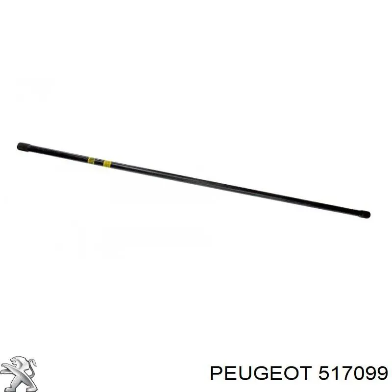 Стабілізатор задній 517099 Peugeot/Citroen