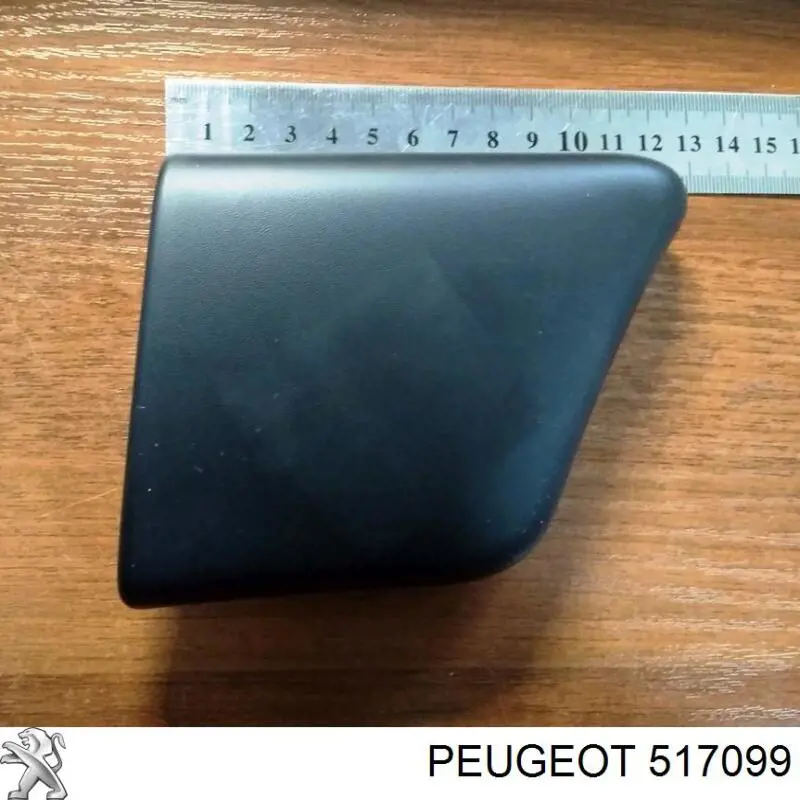 Стабілізатор задньої підвіски Peugeot/Citroen 517099