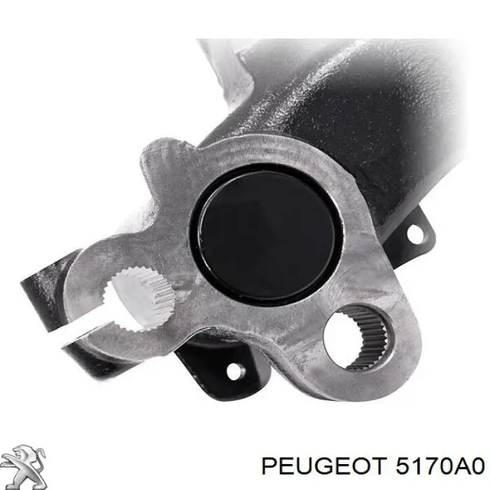 Стабілізатор задньої осі Peugeot/Citroen 5170A0 ціна, від 42.34 USD