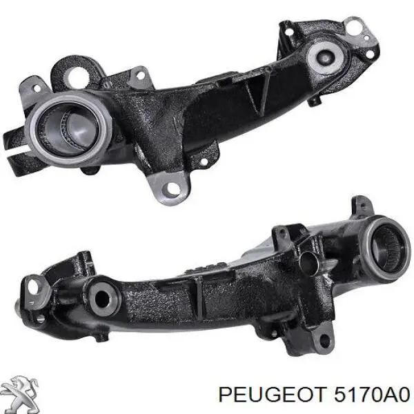Купити 5170A0 Peugeot/Citroen Задній стабілізатор 