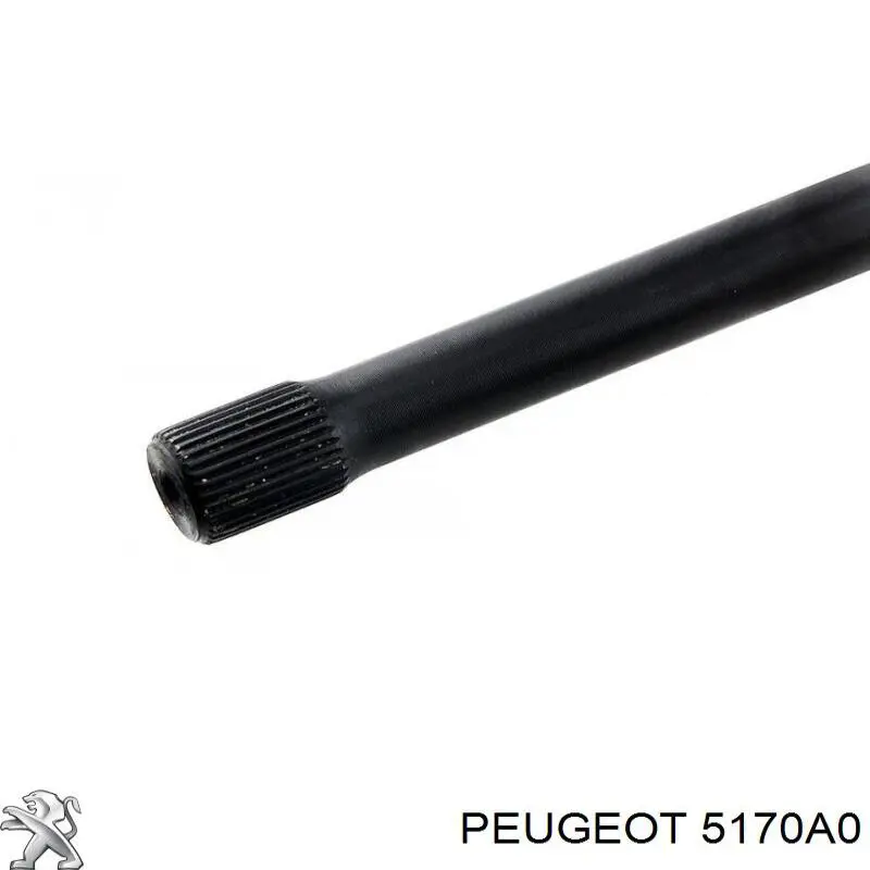 Стабілізатор задній 5170A0 Peugeot/Citroen