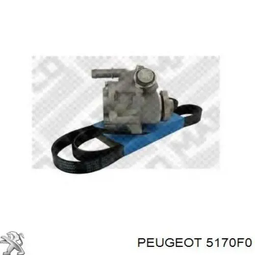 Купити 5170F0 Peugeot/Citroen Торсіон задній