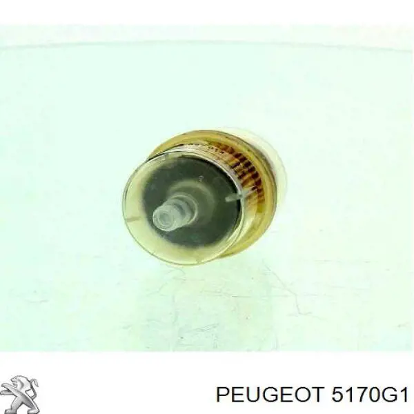 5170G1 Peugeot/Citroen Стабілізатор задньої балки