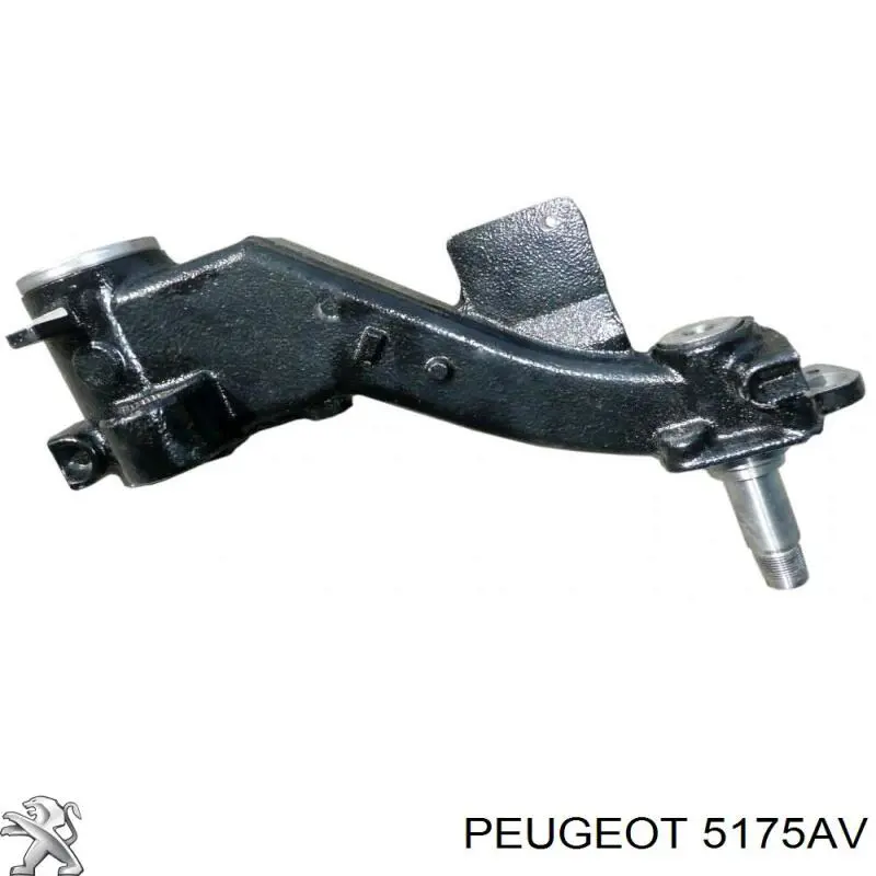 Важіль задньої підвіски нижній, лівий Peugeot/Citroen 5175AV ціна, від 261.92 USD