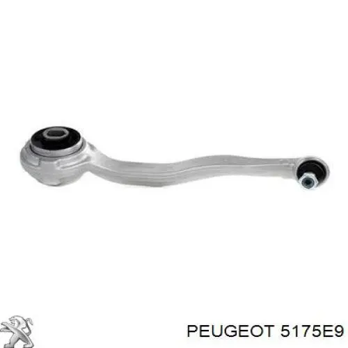 Купити 5175E9 Peugeot/Citroen 
