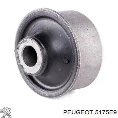 5175E9 Peugeot/Citroen 