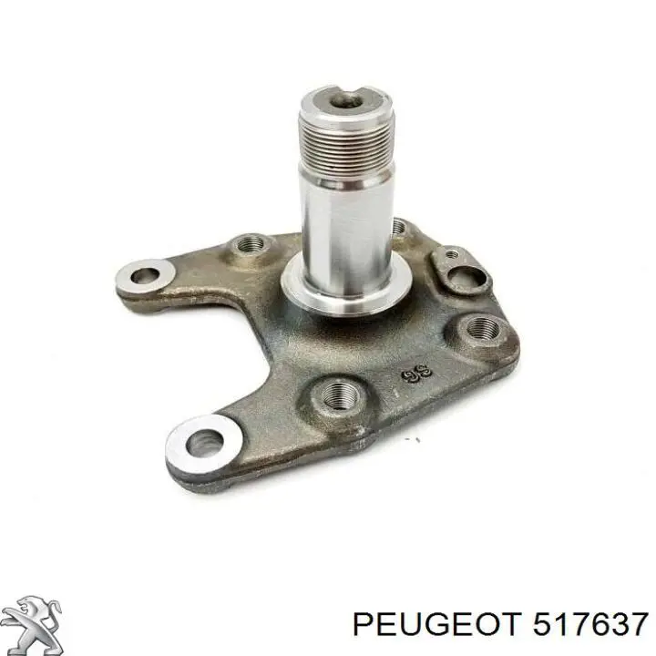 517637 Peugeot/Citroen цапфа - поворотний кулак задній