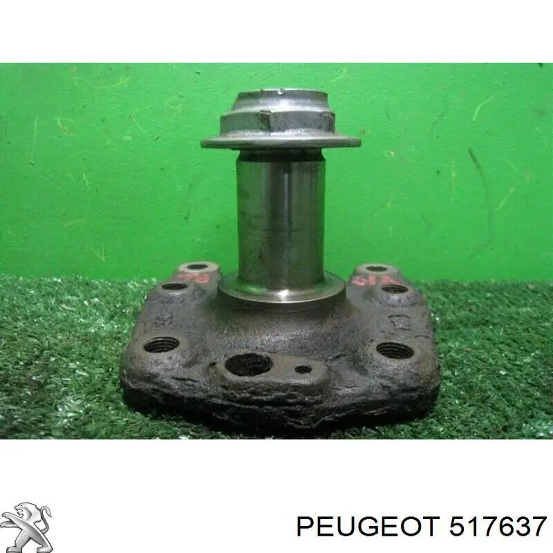 Цапфа - поворотний кулак задній Peugeot/Citroen 517637 ціна, від 11.26 USD