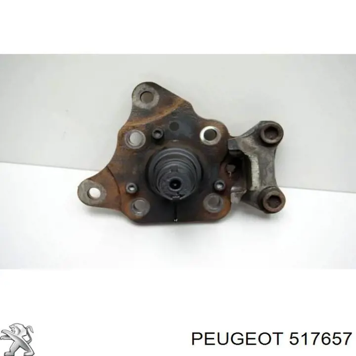 Купити 517657 Peugeot/Citroen Цапфа ліва