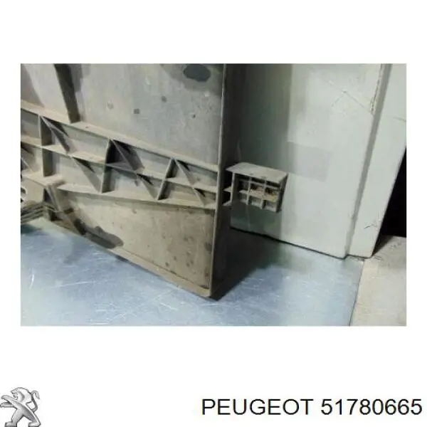  Peugeot/Citroen 51780665 ціна, від 26.60 USD