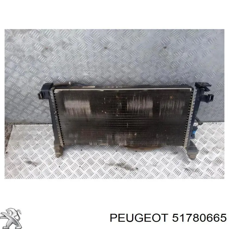  51780665 Peugeot/Citroen