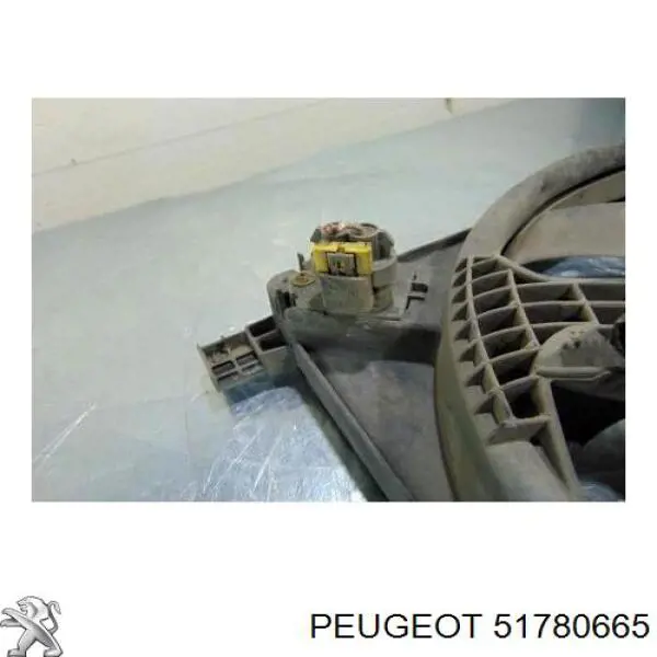 Купити 51780665 Peugeot/Citroen 