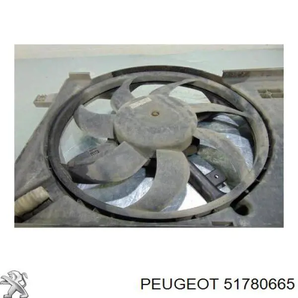51780665 Peugeot/Citroen 