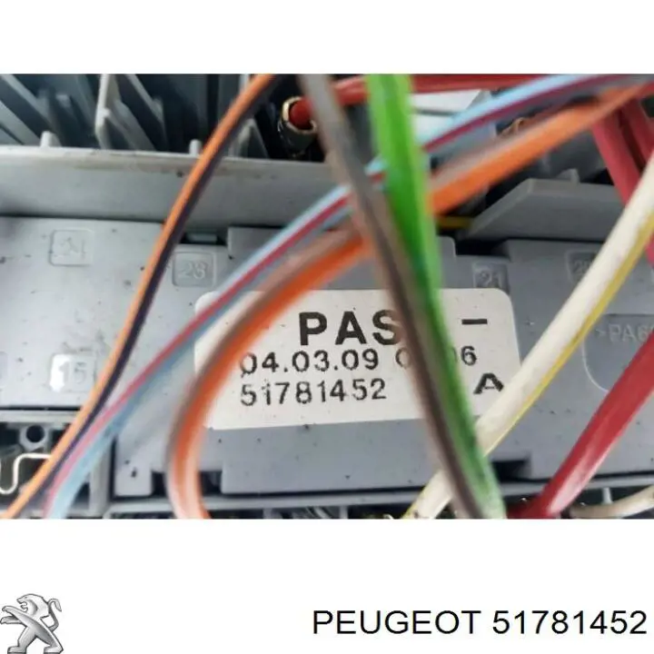 51781452 Peugeot/Citroen 