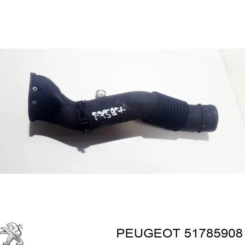 51785908 Peugeot/Citroen 