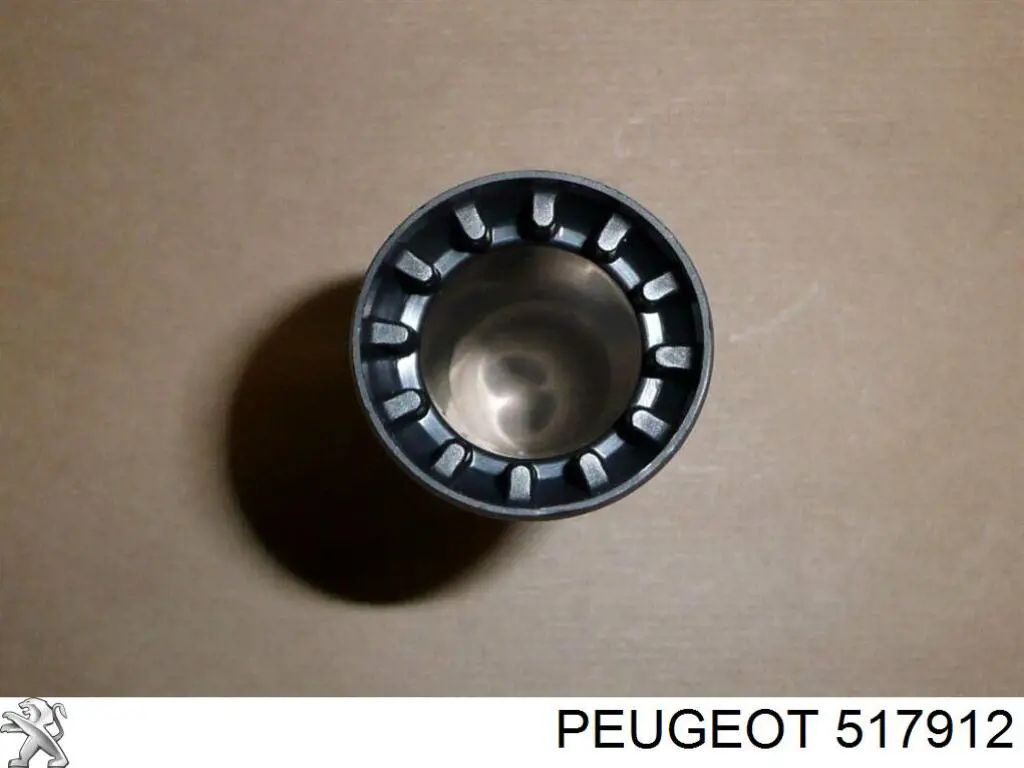 Купити 517912 Peugeot/Citroen 
