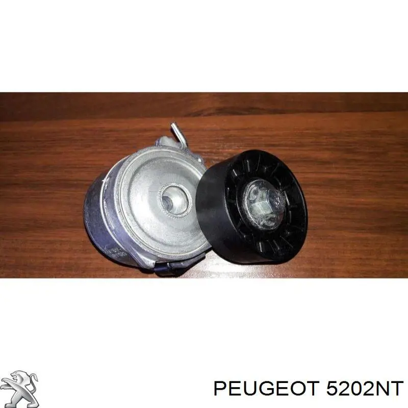 Купити 5202NT Peugeot/Citroen Амортизатор передній, правий