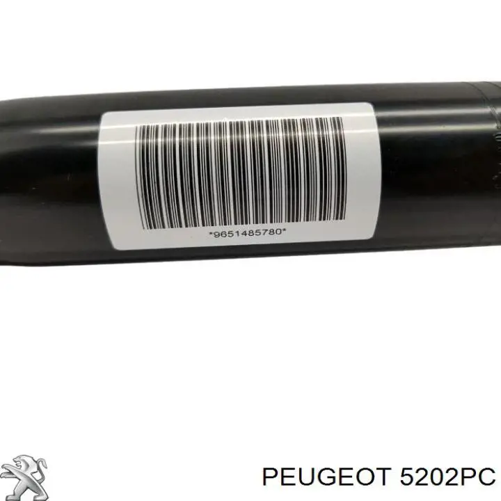 Купити 5202PC Peugeot/Citroen Амортизатор передньої підвіски