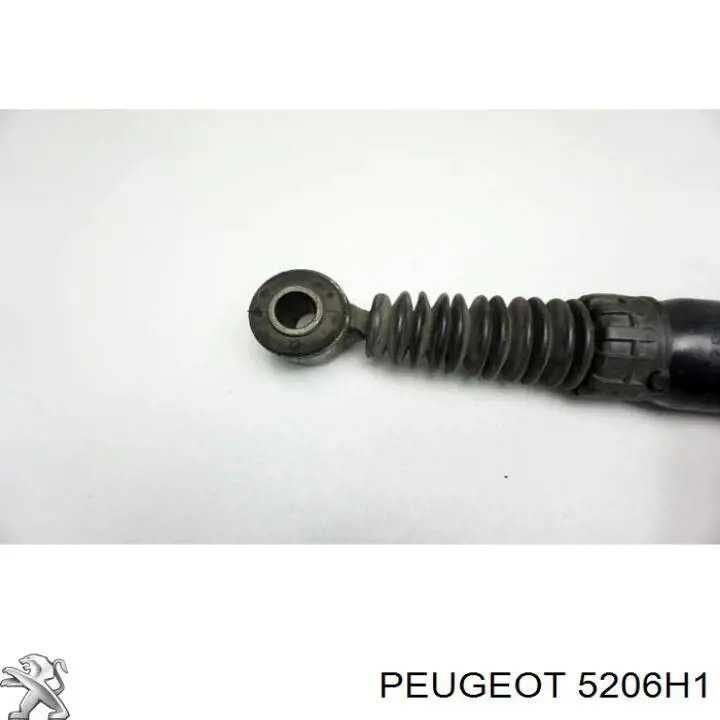 Задній амортизатор Peugeot/Citroen 5206H1