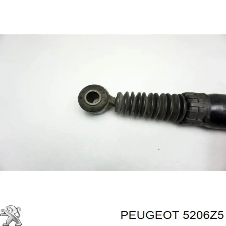 Купити 5206Z5 Peugeot/Citroen Стійка амортизатора задня