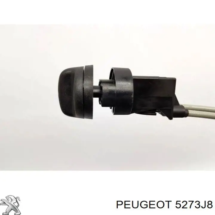 5273J8 Peugeot/Citroen 