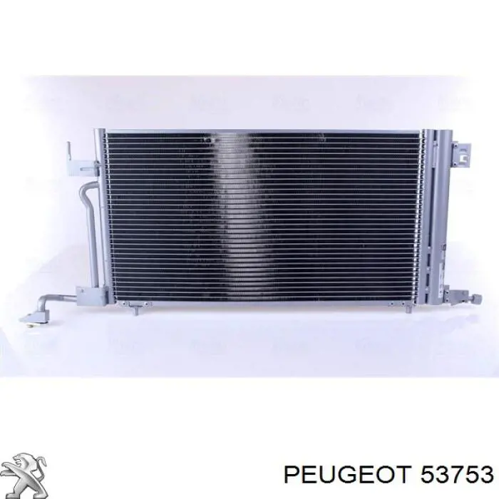 053753 Peugeot/Citroen Болт кріплення маховика