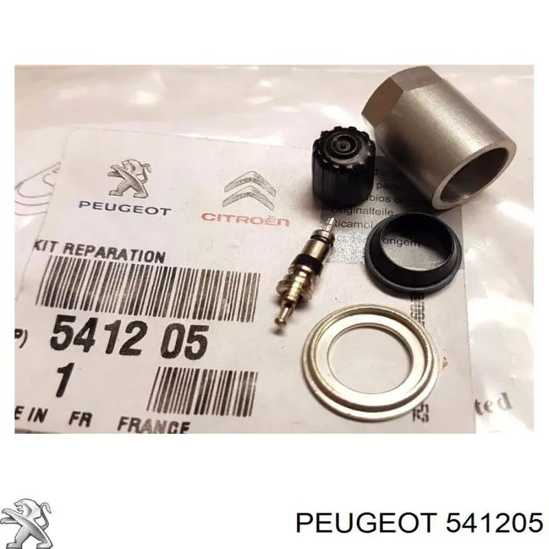 Кріплення датчика тиску повітря в шинах Peugeot 607 (9D, 9U) (Пежо 607)