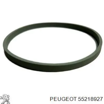  55272293 Fiat/Alfa/Lancia