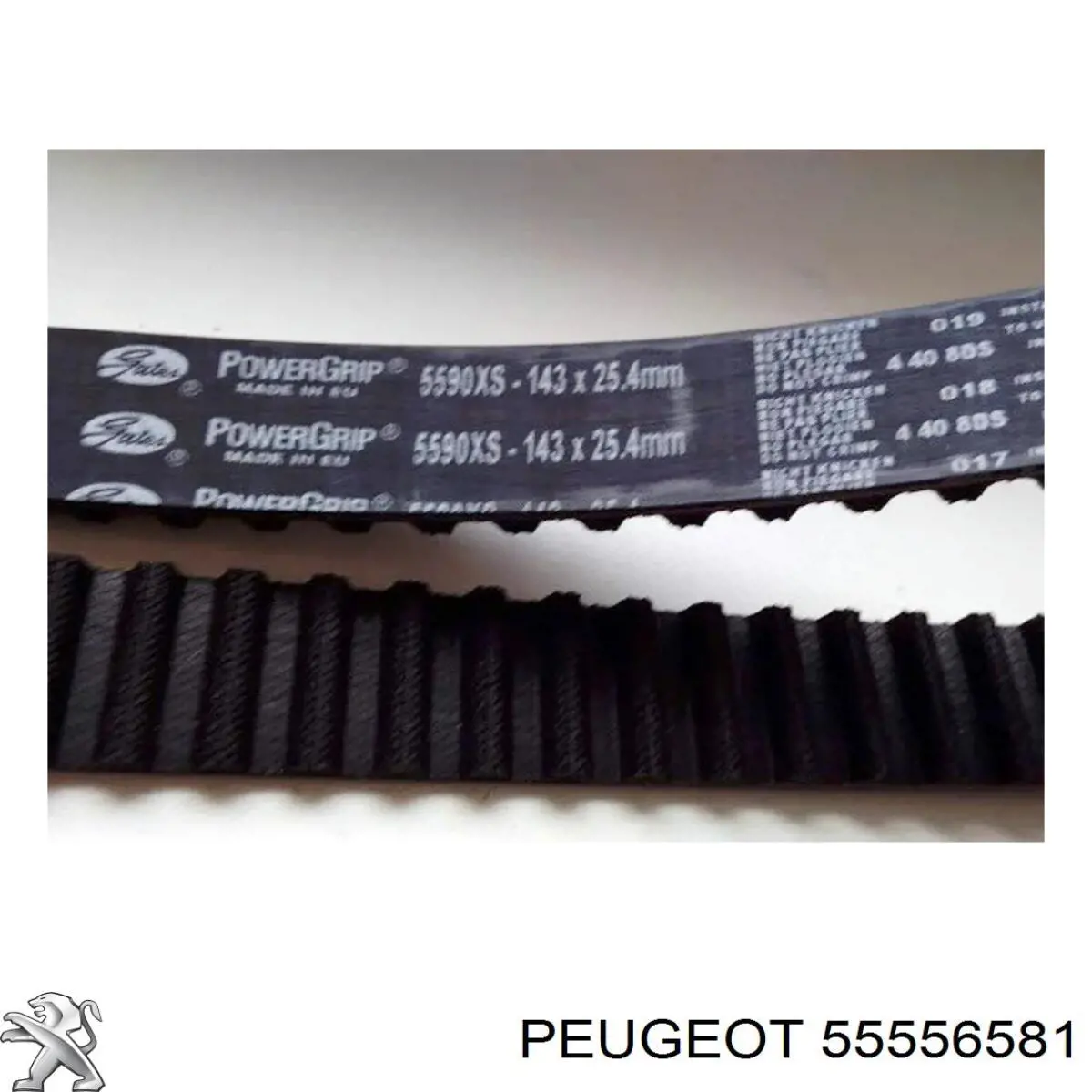  55556581 Peugeot/Citroen